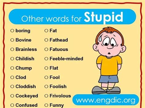 synonyms of stupidity|other words for stupid person.